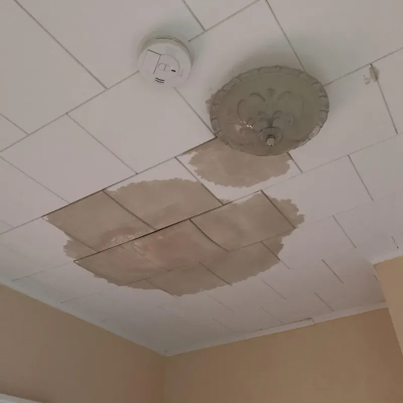 Ceiling Water Damage Repair in Lochmoor Waterway Estates, FL