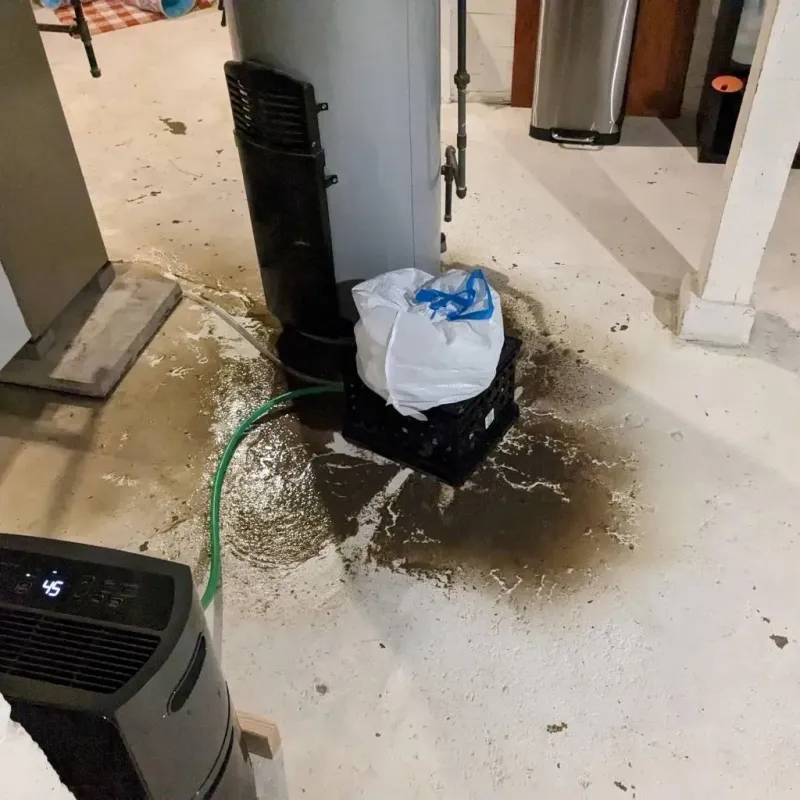 Sewage Backup Cleanup Service in Lochmoor Waterway Estates, FL